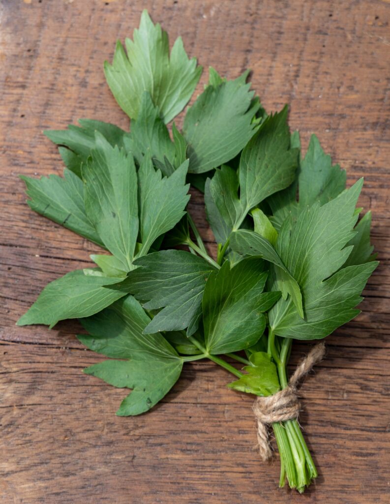 quercetin wirkung